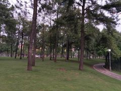 -美兰湖景区