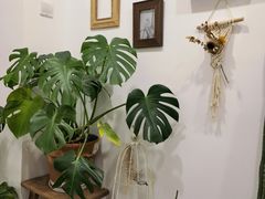 -AHAVA·Fang Baking Studio