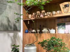 -自由生长植物工作室(深港花卉中心店)