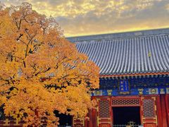-潭柘寺景区