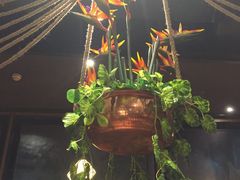 -云海肴·汽锅鸡·云南菜(天津国金汇店)