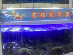 -黄记大闸蟹专卖店·活蟹·醉蟹