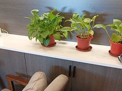-鹿栖(佛山季华园店)
