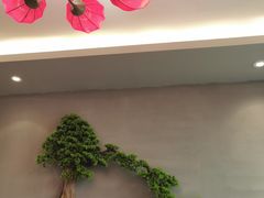 -小湘旺臭鳜鱼(百子湾店)
