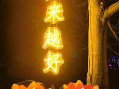 -印象普陀
