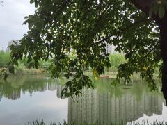 -沐仙湖湿地公园