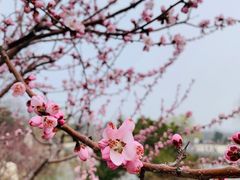 -海底捞火锅(枫蓝国际购物中心店)
