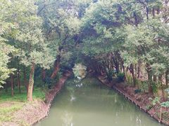 -同里国家湿地公园