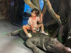 -石家庄海洋公园