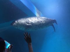 -青岛海底世界-水族馆