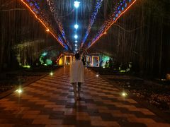 -森波拉火山温泉