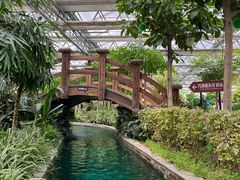 -南宫五洲植物乐园