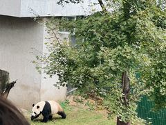 -沈阳森林动物园