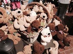 -济州岛泰迪熊博物馆