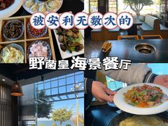 -野菌皇海景野生菌火锅(滨海大道店)