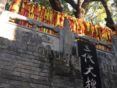 -大槐树寻根祭祖园