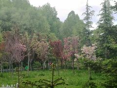 -宗角禄康公园