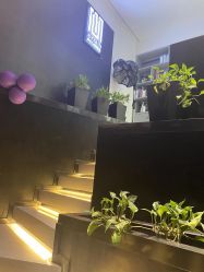 -吉艺心专业美发造型