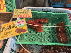 -南纪白浜Toretore市场