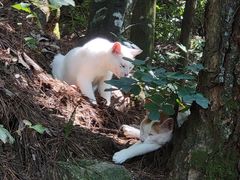 -黄牛肉馆·皖南土菜