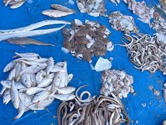 -青岛沙子口国家中心渔港