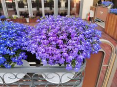 -方恒购物中心(望京小街店)