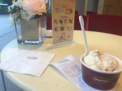 -哈根达斯(西安北郊店)