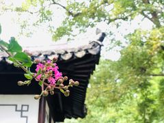 -郭庄景区