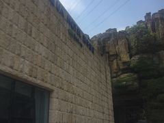 -深圳东部华侨城瀑布酒店