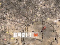 -东寨港红树林旅游区