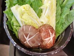 -顺德公·广东猪肚鸡(车公庙总店)