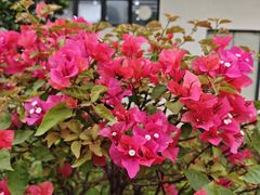 -渔舟意·湖南家宴(萝岗纳金城店)