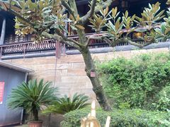 -峨眉山报国寺