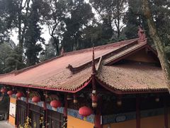 -都江堰普照寺
