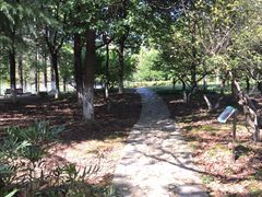 -白塘生态植物园