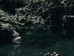 -将府公园
