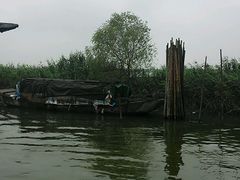 android_upload_pic-泗洪洪泽湖湿地景区