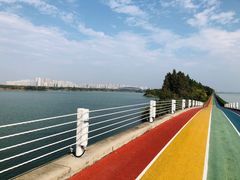 -贡湖湾湿地公园