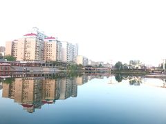 -雁滩公园