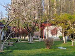 -堤角公园