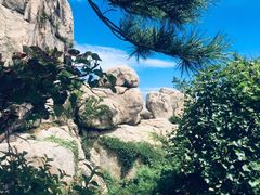 -崂山巨峰游览区