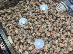 -明记海鲜大排档(巽寮湾店)