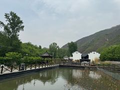 -荷塘味道(水长城店)