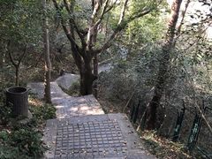 -紫金山山顶公园