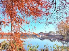 -长广溪湿地公园