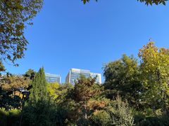 -元大都城垣遗址公园