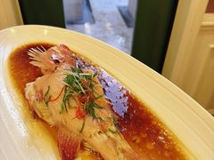 古法蒸东星斑-虹御轩·传承江浙菜(虹桥店)