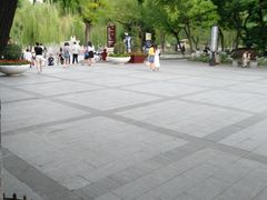 -文瀛公园