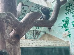 -石家庄市动物园