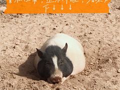 -太原动物园